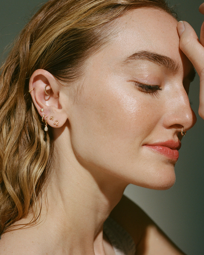 ear piercings on the model